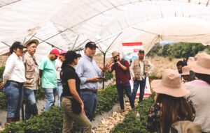 Danone México impulsa la producción sostenible de fresa, a través del proyecto Madre Tierra
