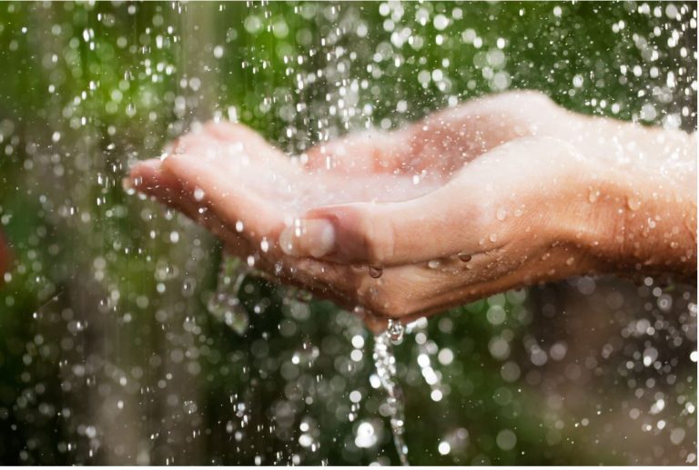 Expertos de Rotoplas hacen un llamado para combatir los problemas de escasez de agua en México
