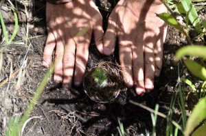 Ectagono explica cómo revertir la crisis ambiental en un escenario que parece no tener salida en el Día de la Tierra