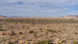 Localizan a tres migrantes que murieron deshidratados en el desierto de Sonora