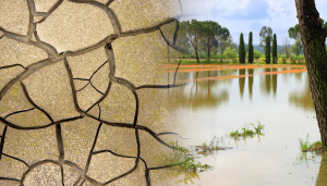 Veolia Water Technologies señala que «serían necesarios varios huracanes para aliviar escasez de agua»