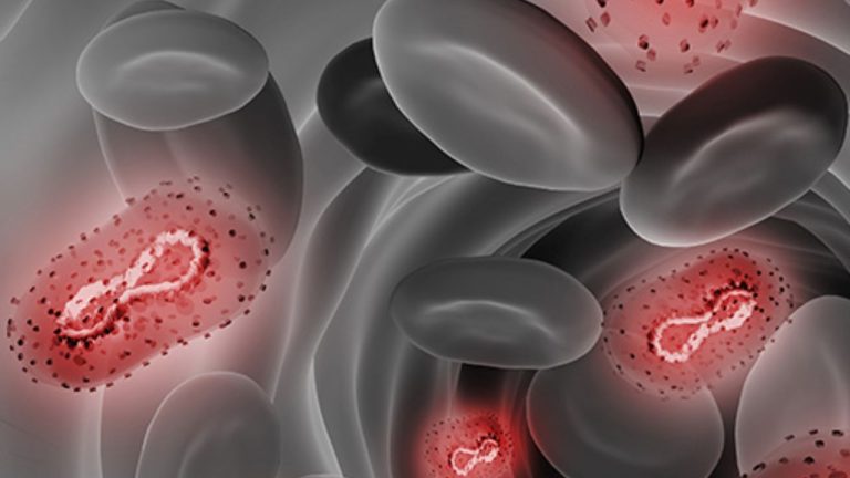 Emergencia por mpox: México registra 49 casos de viruela del mono