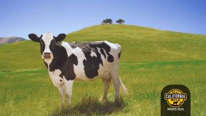 El Consejo Lácteo de California tiene un impacto positivo en la sostenibilidad