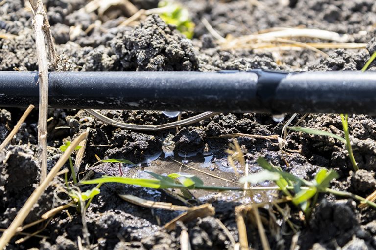 Los agricultores: protagonistas de la gestión hídrica frente al cambio climático
