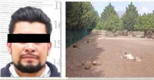 Sentencian a hombre a 6 años de prisión por la muerte de 32 venados en Puebla
