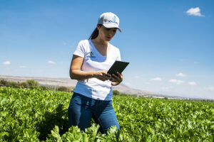 Kilimo sigue «hackeando» el riego para hacer más eficiente el uso en la agricultura