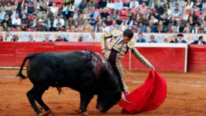 Toreros buscan amparo contra prohibición de ‘corridas con sangre’ en CDMX