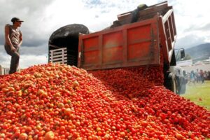 México tiene hasta el 15 de julio para evitar arancel del 20.91% al jitomate mexicano en EE. UU.