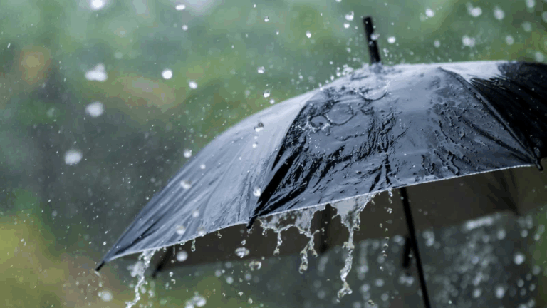 Desplazamiento de la onda tropical núm. 12 deja lluvias en varios estados