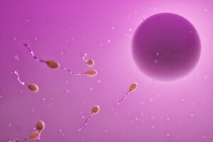 47 años de Fecundación In Vitro, actualmente 4 mil nacimientos al año en México. El arte de disfrutar con estilo y sentido.