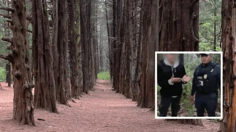 Encuentran sano y salvo a menor extraviado en el bosque El Ocotal, Cuajimalpa