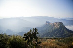 Plata Investment: Plataforma de inversión en metales preciosos mexicanos
