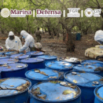 Aseguran 12.8 toneladas de metanfetamina en Nayarit; desmantelan narcolaboratorio