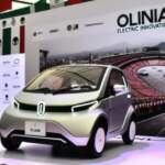 ¿Cómo es Olinia y para quiénes está diseñado?