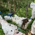 Ejército destruye un laboratorio clandestino en Michoacán