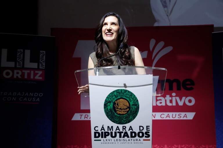 En la Cámara de Diputados se trabaja con pluralidad y entendimiento para lograr el bien común de la ciudadanía: diputada López Rabadán