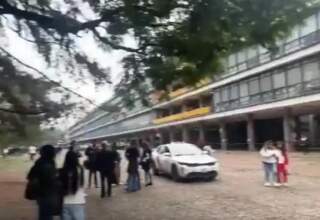 Muere otro cachorrito de Cereza, la perrita sobreviviente de la explosión en el Puente La Concordia
