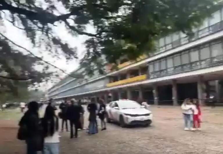 Muere otro cachorrito de Cereza, la perrita sobreviviente de la explosión en el Puente La Concordia