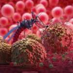 La vigilancia molecular, clave para combatir la malaria en México. El arte de disfrutar con estilo y sentido.