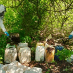 Aseguran 13 áreas de concentración de químicos y un narcolaboratorio en Sinaloa