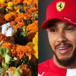 El GP de México recuerda a Roscoe, mascota de Hamilton