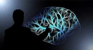 UDIT demuestra con evidencia neurocientífica que hablar más de un idioma modifica el cerebro
