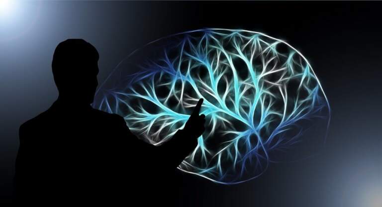 UDIT demuestra con evidencia neurocientífica que hablar más de un idioma modifica el cerebro