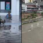 Fuertes lluvias desbordan ríos y dejan ‘bajo el agua’ a Álamo, Veracruz