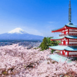 Trump recibirá 250 cerezos de Japón por los más de dos siglos de la Independencia de EU