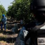 Harfuch confirma detención de Rigoberto “N”, extorsionador de limoneros en Michoacán