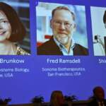 Brunkow, Ramsdell y Sakaguchi ganan Nobel de Medicina 2025 por descubrimientos sobre sistema inmunitario