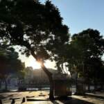 En CDMX será una mañana fría pero una tarde cálida