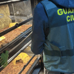 Guardia Civil de España incauta 472 animales exóticos en un “falso refugio”