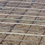 Estudio internacional revela el impacto de la ganadería industrial en las metas climáticas