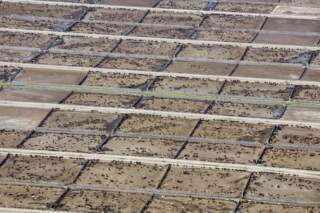 Estudio internacional revela el impacto de la ganadería industrial en las metas climáticas