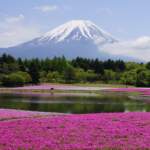 Despegar comparte destinos de montaña, una de las tendencias de viaje para 2026