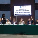 Comisión de Seguridad aprobó por unanimidad reformas para prevenir violencia familiar y fortalecer la seguridad vial