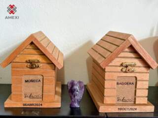 Seguro para mascotas al alza: ¿Vale la pena contratalos? (Video)