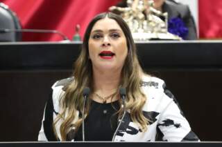 Proponen deducir el Impuesto Sobre la Renta en gastos médicos veterinarios para animales de compañía